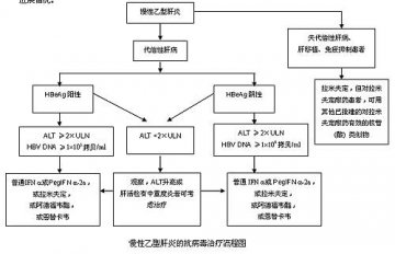 慢性乙型肝炎防治指南