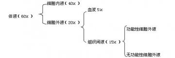 第一部分第二篇 生理学（一）