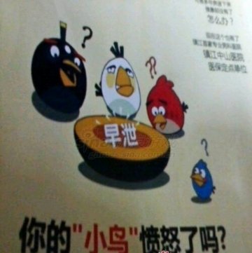 《愤怒的小鸟》遭男科医院盗用 变身男性生殖器