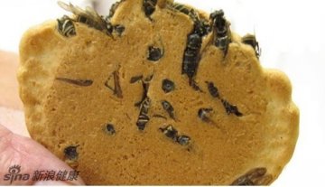 防癌神仙汤引争议 稀奇古怪食物盘点—土蜂米饼