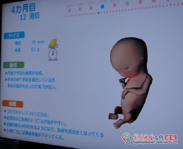 神奇的怀孕模拟装置