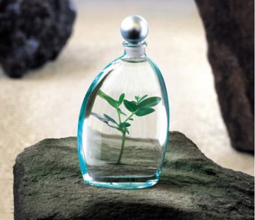 香水引发社会问题 使用有讲究