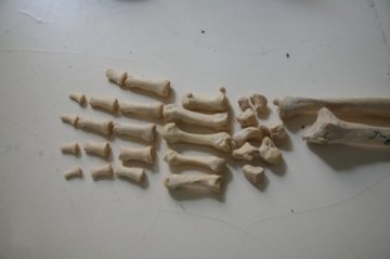 探访“人骨仓库”