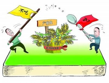 转基因水稻产业化真的不能等吗