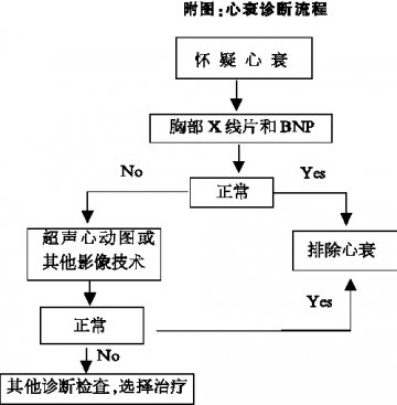 BNP——心衰重要指标