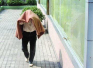 上万野蜂围攻办公楼 员工上班顶毯子