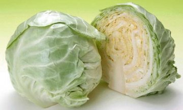 冬令进补四种素食效最佳