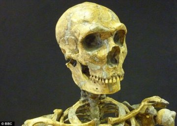 美拟克隆3万年前已灭绝现代人祖先