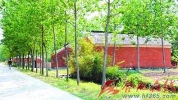 安徽天长出现“癌症村” 一半以上家庭先后患癌症
