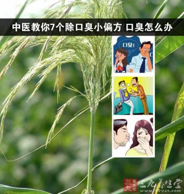 中医7个除口臭的妙方