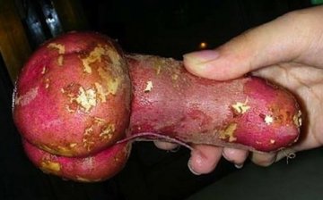 那些让你过目不忘的果蔬