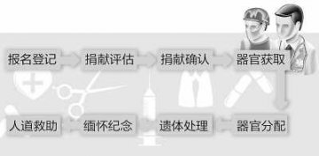 器官捐献 怎样如愿