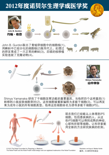 2012年诺贝尔生理学和医学奖