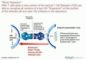 美专家称艾滋病毒现抗药性 基因疗法或成新武器