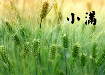 冬病夏治迅速告别寒疾