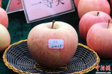 研究：50岁后一天一苹果 降低心血管疾病风险