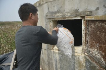 福建鸭场万只鸭苗被闷死