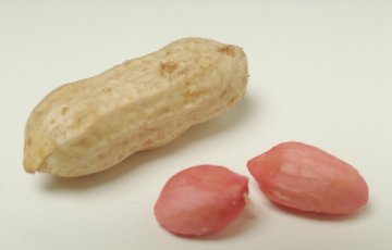 8类人千万少吃花生 小心要命