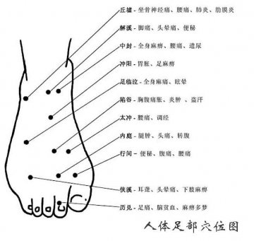 人体足部穴位图