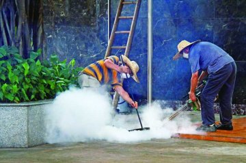 粤登革热局部爆发珠风险增
