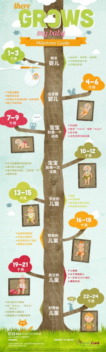 信息图：婴儿成长日志