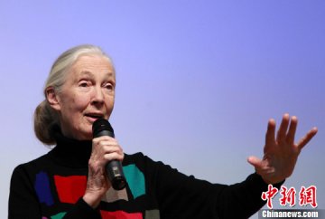 英国生物学家珍·古道尔在中科院演讲