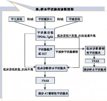桥本甲状腺炎，拒绝“一刀切”