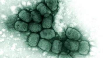 研究称：某些抗癌药物能抵御生物杀伤性武器攻击