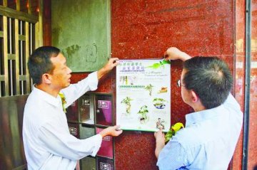 杜绝蚊患防登革热