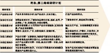 G公司第三终端营销成功系统案例之一
