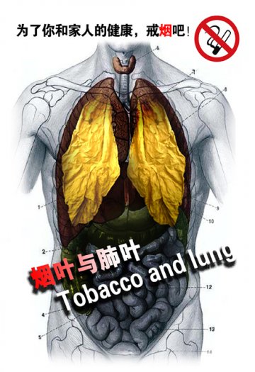 控烟海报：烟叶与肺叶