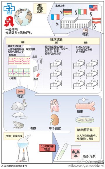 信息图：药物研发一般流程