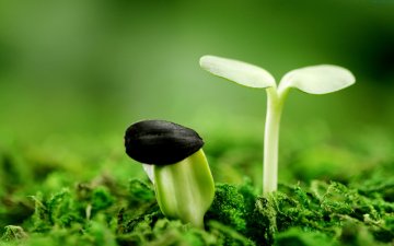 春季养生记住两点：顺春气 解春困