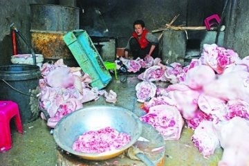 揭秘猪头肉黑作坊：猪头随地乱堆 苍蝇成群