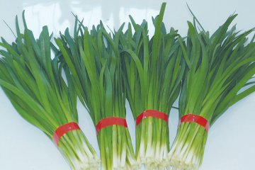 盘点12种壮阳美食：菠菜堪称“天然伟哥”