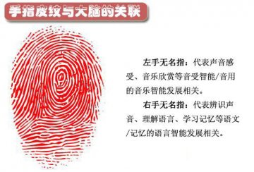 图说：从指纹看你的身体健康和性格