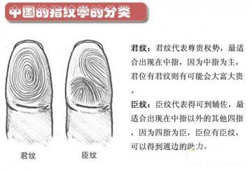 图说：从指纹看你的身体健康和性格
