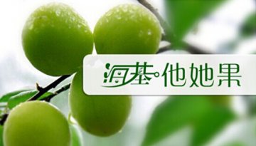 海基他她果的前世今生