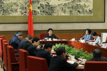 刘延东在国务院医改领导小组专家咨询委员会全体会议上强调 凝智聚力推动医改向纵深发展