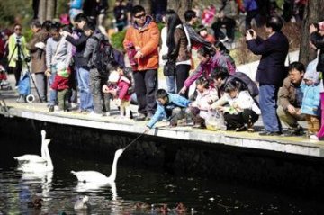 北京进入防控禽流感应急状态 严禁活禽进入市场
