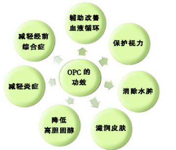 原花青素：葡萄籽中的保健元素