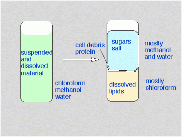 Lipidanalysis：EXTRACTIONOFLIPIDSFROMLIPOPHORIN