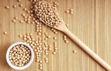适量食用豆类和菌类可预防心血管疾病