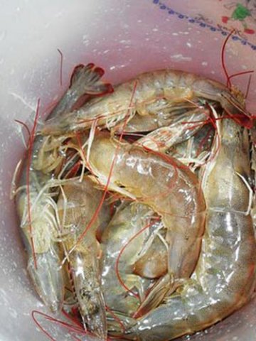 怎么吃都不胖 十大减肥特色美食