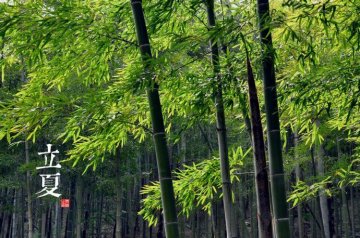 图说二十四节气 美到令人窒息