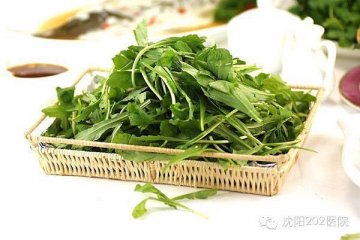 时令美食让清明养生更科学