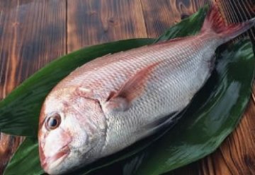 盘点最“养”男人的10种食物