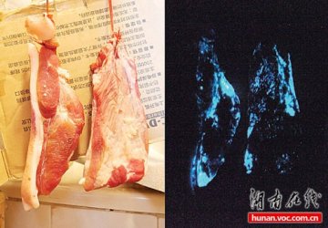 厨房猪肉半夜发蓝色荧光似鬼火