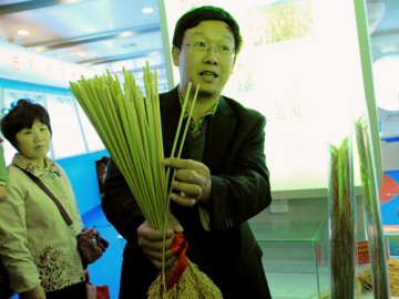超级杂交稻“冠军组合”首次公开亮相