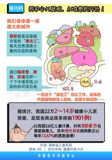 养护小儿肾脏，从准爸妈开始！